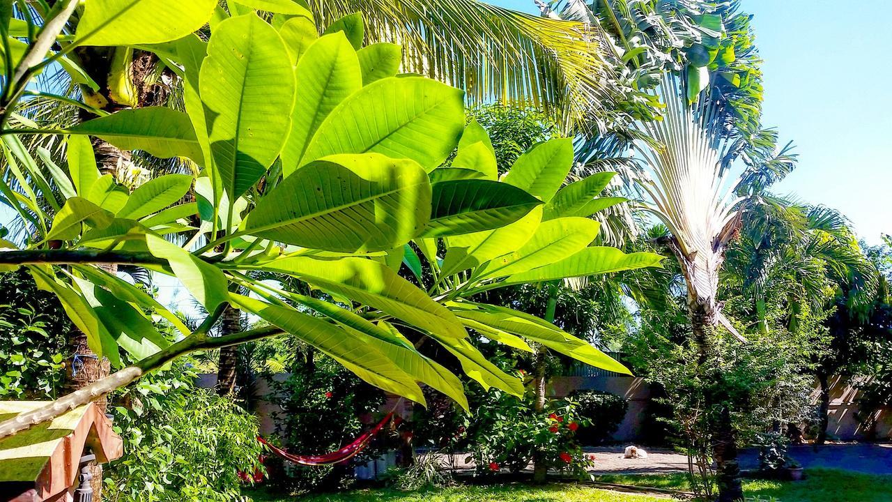 Surf House Hotel La Gaulette Bagian luar foto